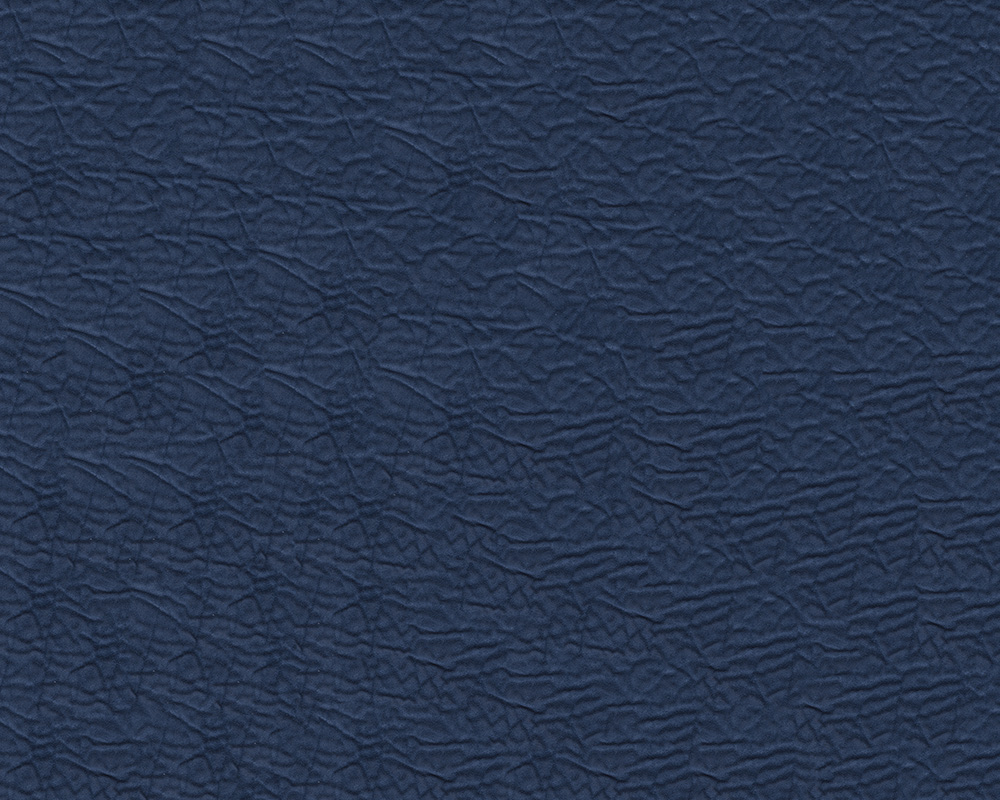  u5  et  microfibres éléphant n°08