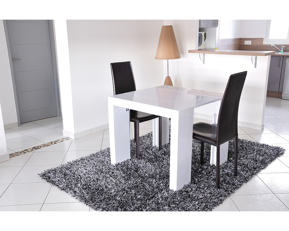  bd 471  et  laque blanc-ext300 cm