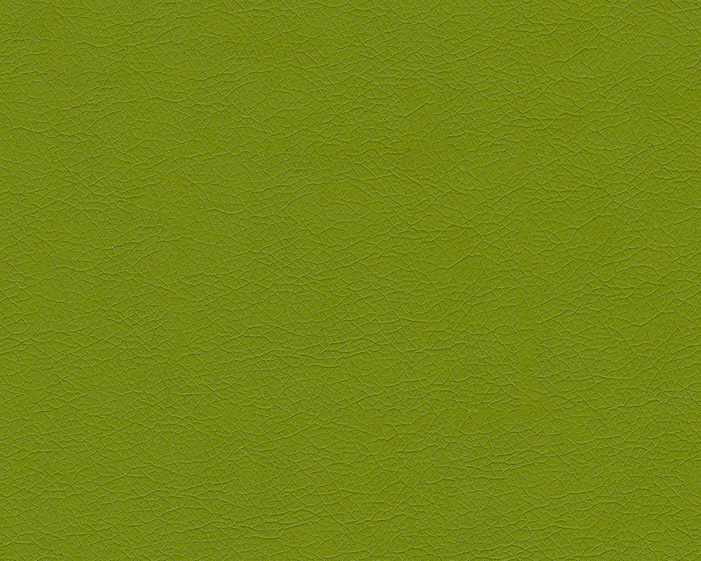  u18 pu n°49