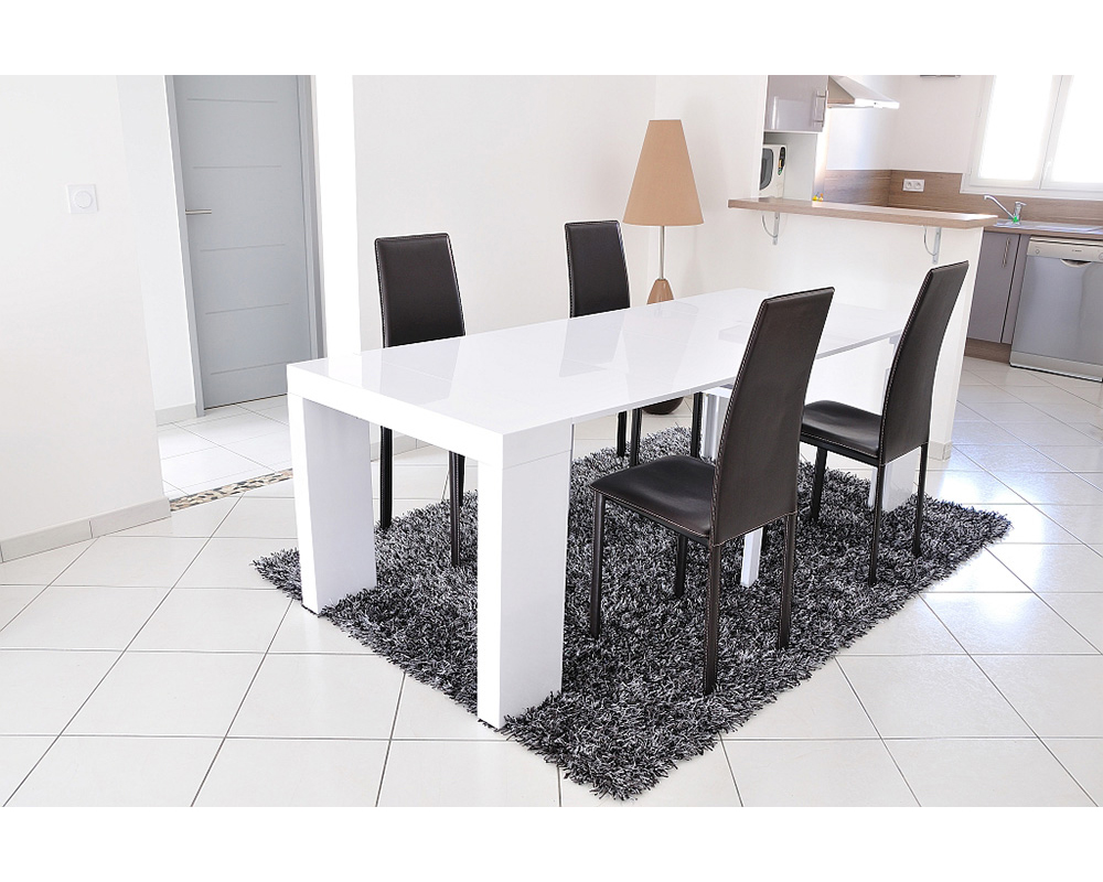  bd 471  et  laque blanc-ext300 cm